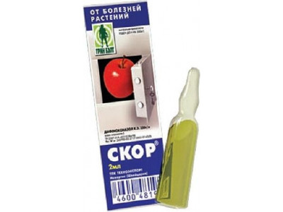 Скор