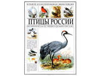 Птицы России. Большая иллюстрированная энциклопедия.