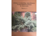 Виды и формы хвойных,культивируемые в России,Часть1